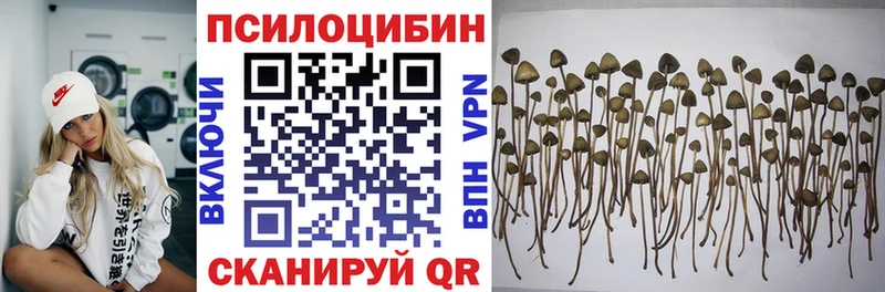 продажа наркотиков  Батайск  Псилоцибиновые грибы ЛСД 